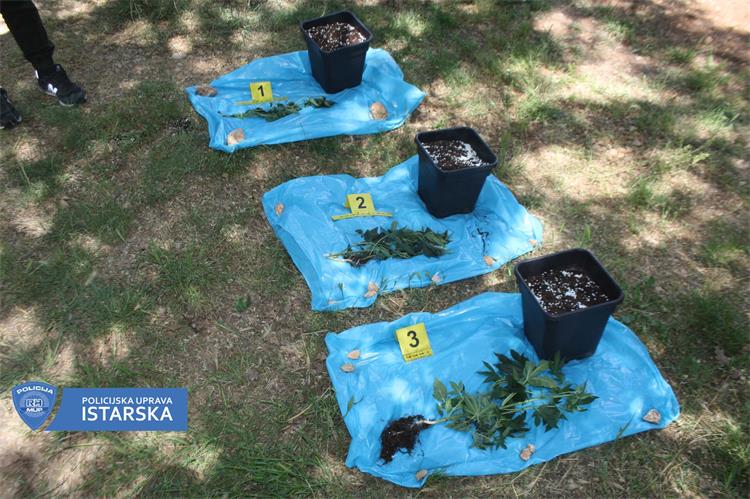 NA CESTI ROVINJ-ROVINJSKO SELO Policija nakon saznanja zaustavila automobil i zatekla muškarca s drogom